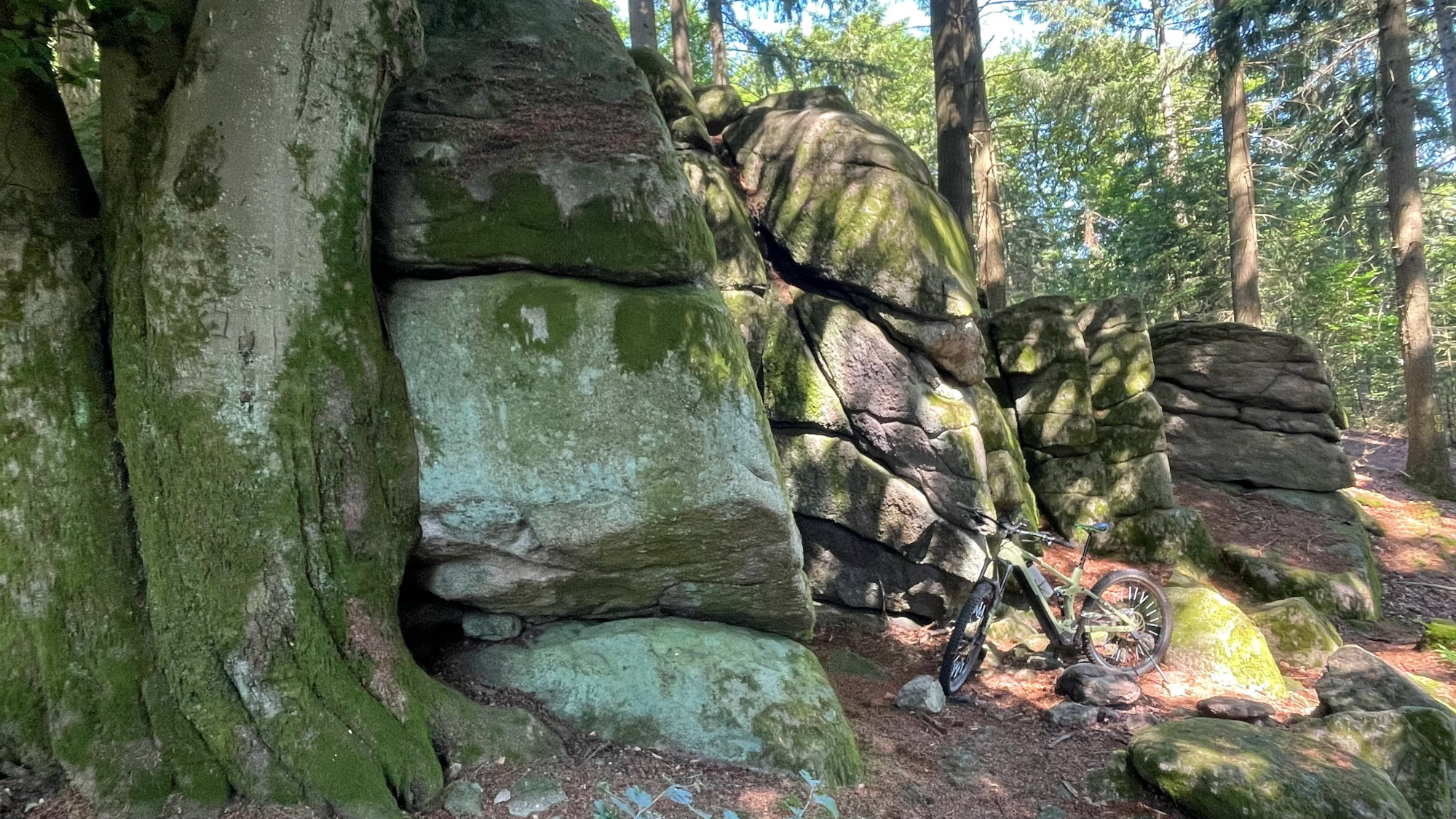 Willdeleutestein Eichelberg mit Mountainbike