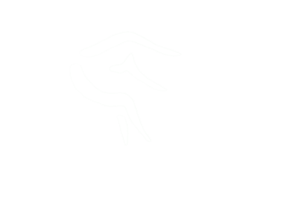 Bike-Guides Weinheim