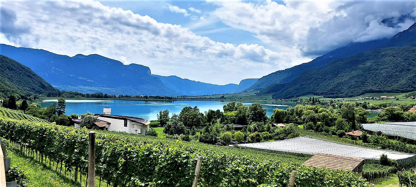 Panorama Kalterer See vor Bergen