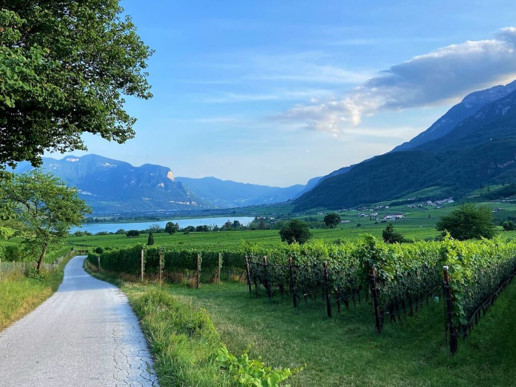 Abfahrt mit Kalterer See im Hintergrund