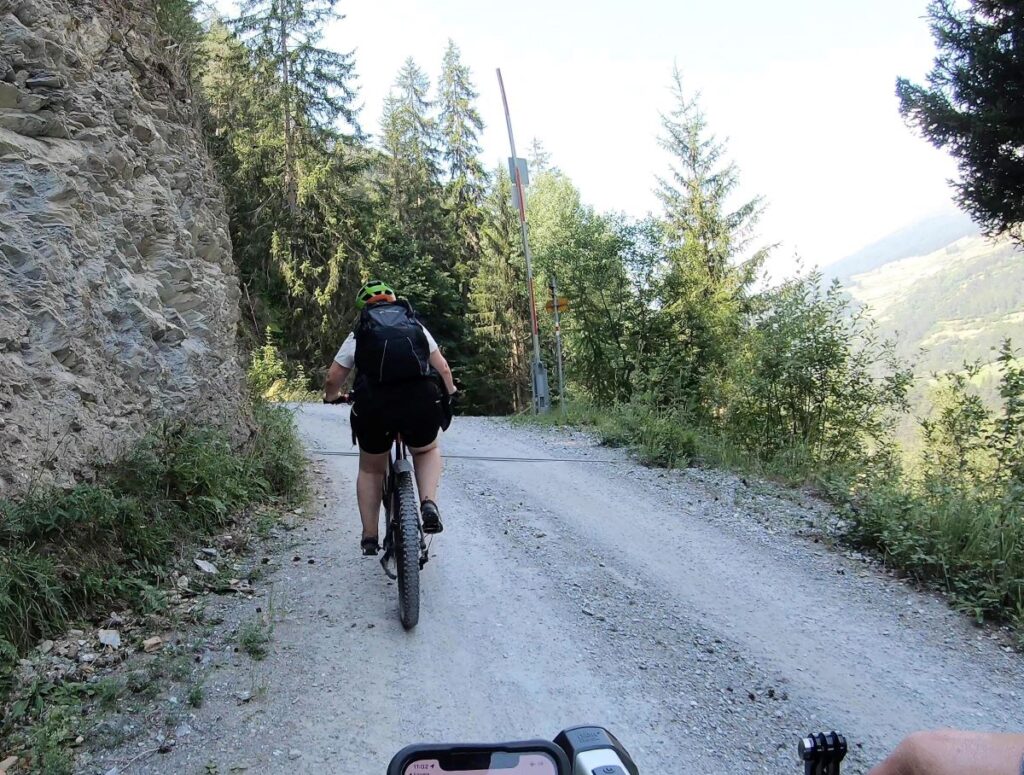 Radfahrerin auf Forstweg