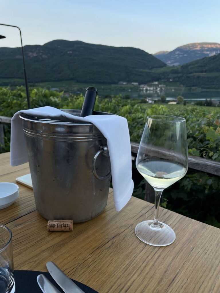 Wein vor Bergpanorama am Kalterer See