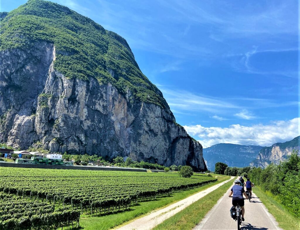 Gruppe Fahrradfahrer vor Bergpanorama