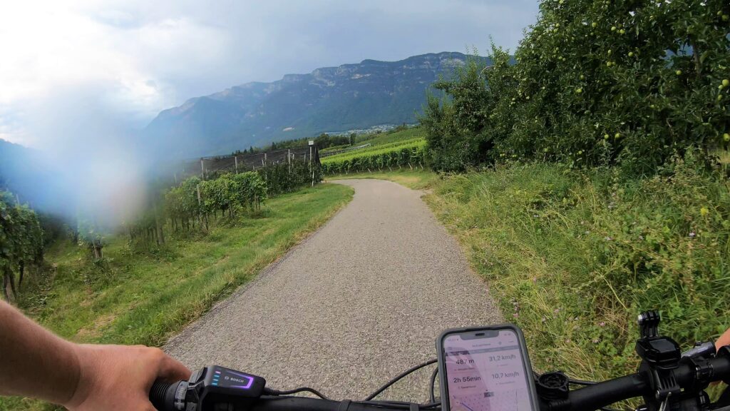 Weg durch Weinberge mit Blick auf Berg