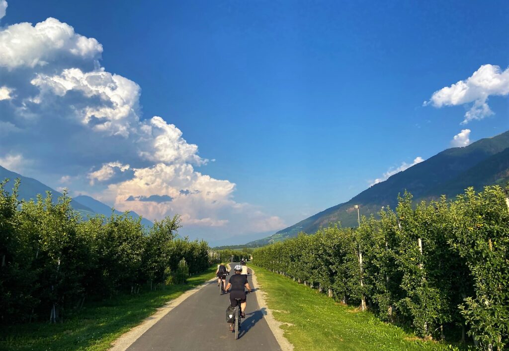 Etschtalradweg durch Apfelbäume mit einer Gruppe Radfahrer kurz vor Laas